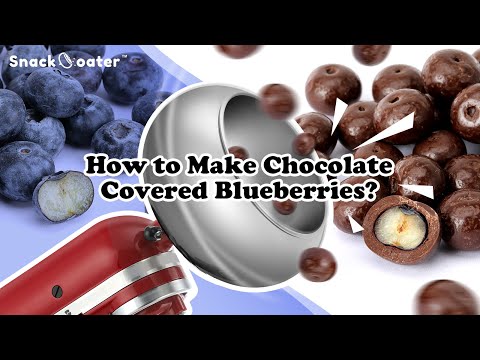 How to Make Dark Chocolate Covered Blueberries with Snack Coater.