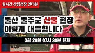 #울산 울주군 산불현장 산림청장 인터뷰(3월 20일 오전 7시 30분 현재)