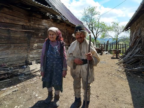 Precup Saveta - Cătunul Purcăreți, Alba