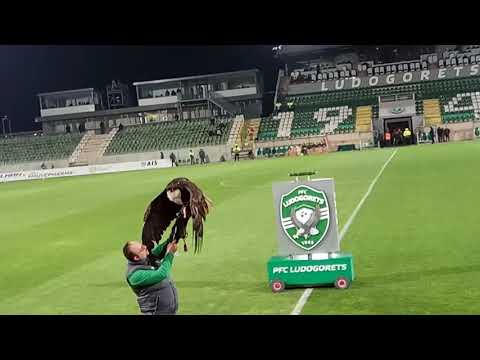Fortuna: Eagle of Ludogorets
