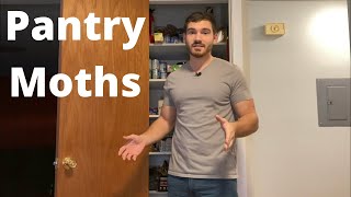 The BEST Way to Get Rid of Pantry Moths