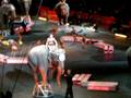 Lichy En El Circo