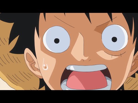 Monkey D Dragon