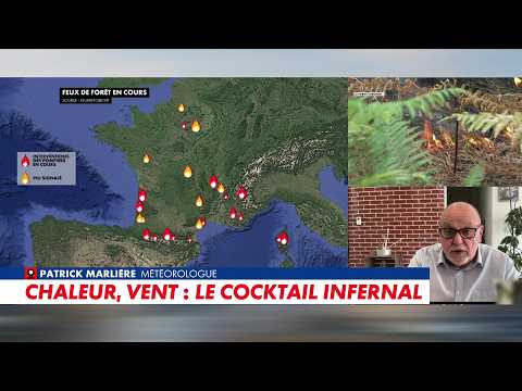 Patrick Marlière : «Une nouvelle canicule est attendue»