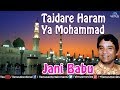 Tajdare haram hit qawali by jani babu