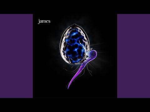 Ten Below - James