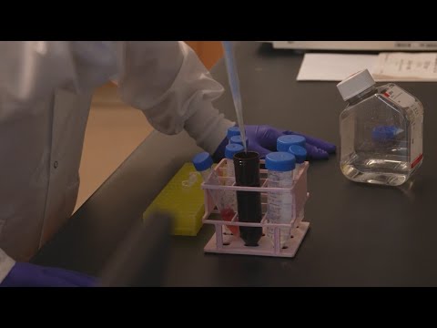 HealthWatch: Zika vs. Childhood Cancer: The Battle Begins!