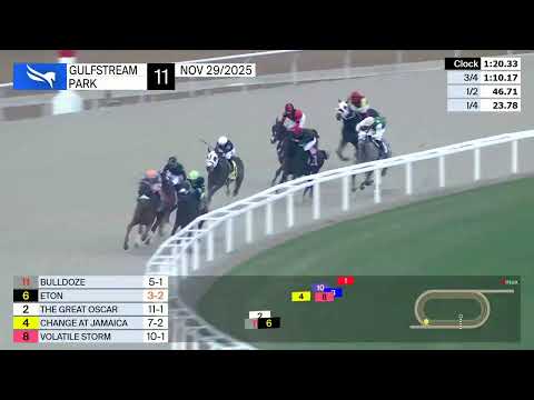 Gulfstream Park November 29, 2025 Race 11