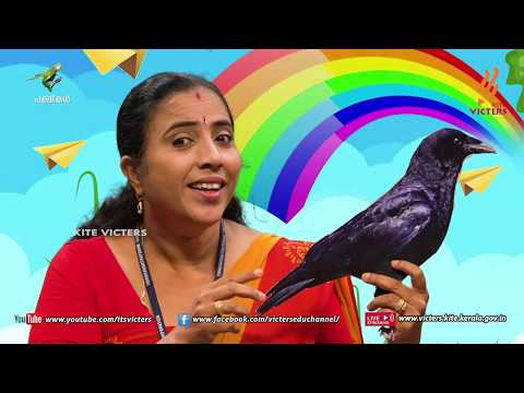 KITE VICTERS Kilikonchal Anganwadi Class 1