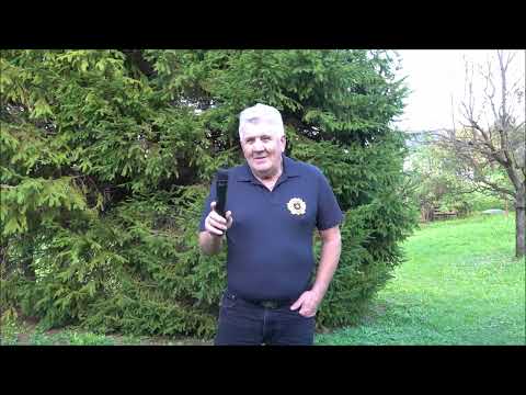 Moj film  PESEM MOSTIŠČAR MINI KAMP SLOVENJSKA BISTRICA  Avtor besedila in glasbe Brane  Gradišnik