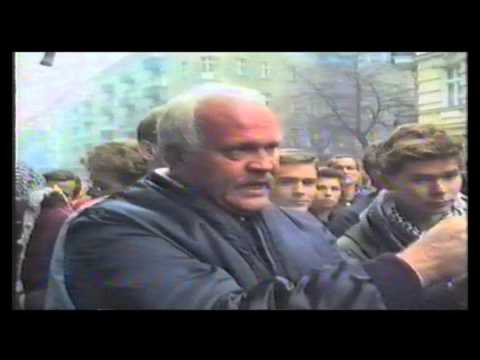 WAS SIEHT EIN CHAMÄLEON, WENN ES IN DEN SPIEGEL SIEHT