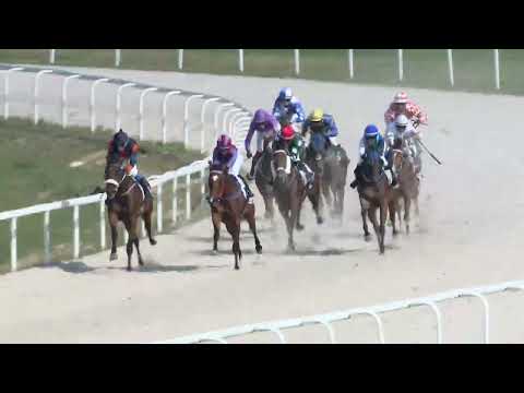 2022.08.28. 03. futam - MISS VIKANIKO HENDIKEP (IV.o.) (szintetikus pálya)