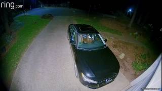 Wildlife Cam in Central North Carolina