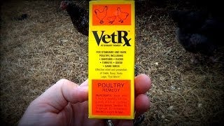 Backyard Chickens - Respiratory Disease - VetRx