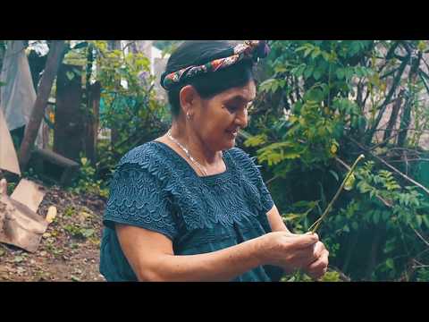 OBSESIÓN MONTEJO - HINQ'ALOMAL HAN (Video Oficial)