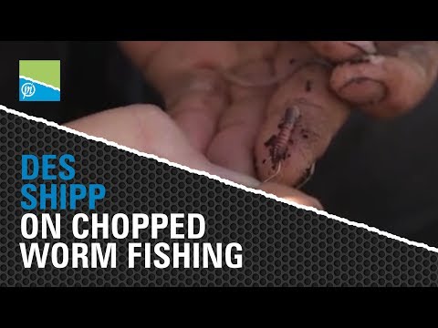 Des shipp talks about chopped worm fishing