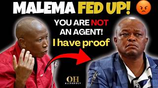 “YOU’RE NOT AN AGENT!” Malema Exposes Brown Mogotsi in Tense Ad Hoc Committee Clash