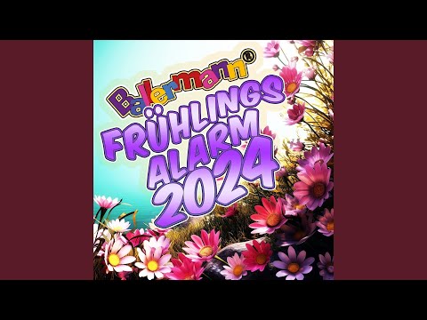 Megagenial (Fox Mix)