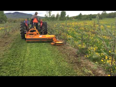 Berti AF 180 and RM AD