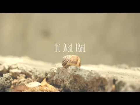 The Snail Trail