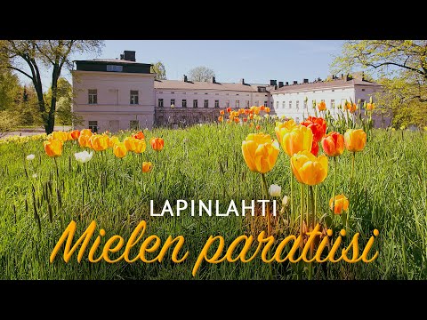 Lapinlahti - Mielen paratiisi