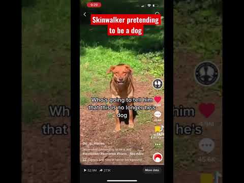Skinwalker pretending to be a dog