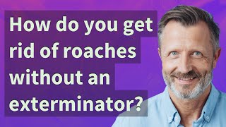 How do you get rid of roaches without an exterminator?