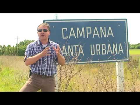 Campana - Colonia