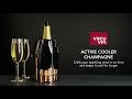 Vacu Vin Active Cooler Champagne Bottles