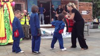 preview picture of video 'Hi Energy Martial Arts Academy, Blyth town fair July 2013'