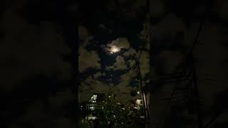 Full moon japan awoooo ! 🙀