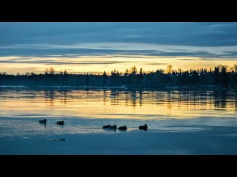 Lisa Ekdahl & Peter Nordahl Trio - Cry Me A river