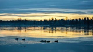 Lisa Ekdahl & Peter Nordahl Trio - Cry Me A river