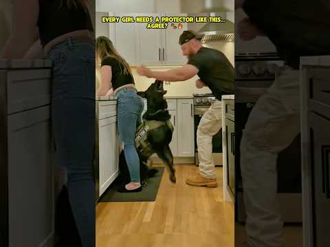 The best bodyguard ❤️🐶🔥🦮🐾 #k9 #dogcoach #dog #pets #k9master #dogtraining #doglife