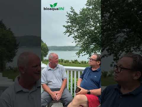 Youtube video preview