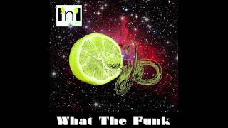 Afro feat. Word of Mouth - What the Funk ( I'n'I - 7 )
