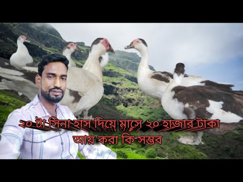 How to Raise Muscovy Ducks Organically। Eggs & Meta from Happy Ducks