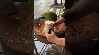 Novo método para cortar coco e dobrar o faturamento