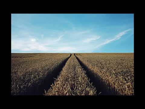 Electro Pop Nr 10   Jack Elphick (Epidemic Sound)