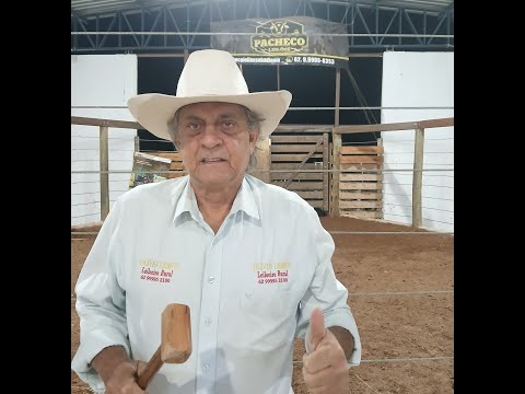 PACHECO LEILÕES - ABADIÂNIA - GO - 12/12/2025