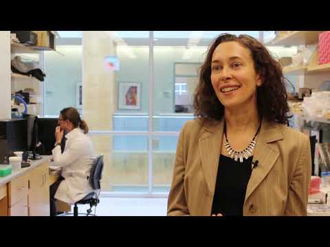 An immune response map to biomaterials | Jennifer Elisseeff, Ph.D.