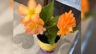 How to recycle old objects into Plant pots | Tutorial | Guide | DIY Plant Pots
