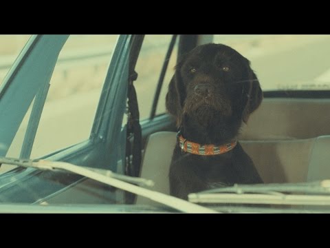 Robin and The Backstabbers - Sat dupa Sat (CERN campaign)