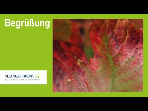 Endosummer 2022 – Neues aus Endoskopie und OP – Begrüßung