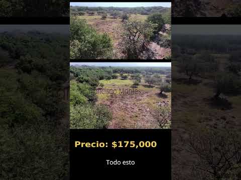 3.5 Manzanas Planas Tecoluca – Con Agua y Cerca de la Litoral #TerrenoEnVenta #Tecoluca #SanVicente