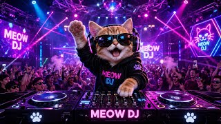 Download lagu EDM . DJ WORK OUT . GENRE : DJ SUPER BASS  . FULL BASS   #dj​​ #dance​​ #djviral​​ #music​​ #edm  mp3