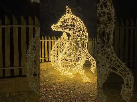 Szolnokon felragyognak a fényállatok! Október 24-től a Bagolyvár Vadaspark minden este fénybe borul