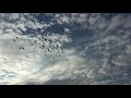 Ishq Wala Love Status Song Cloudy Sky