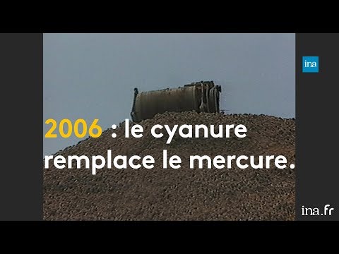 Cyanide: Pollution from Gold Mines | Franceinfo INA