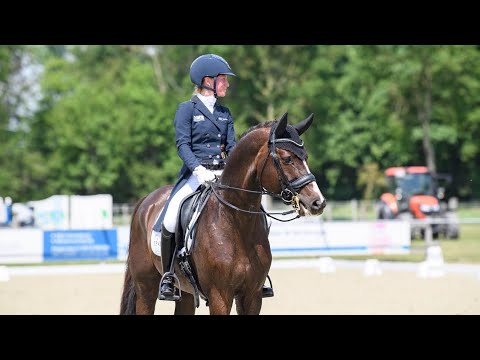 Golden Romance Malleret PS